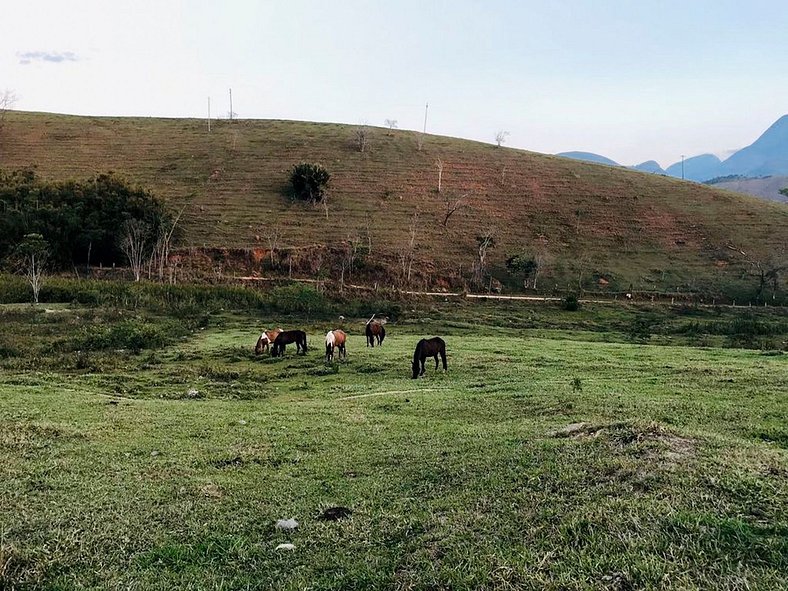 Fazenda em Secretário - Ita002