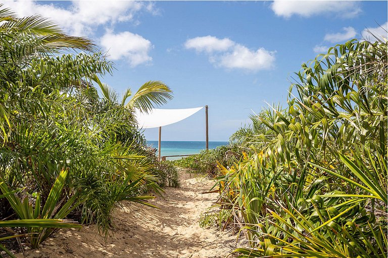 Linda e grande propriedade em Trancoso - Trc007